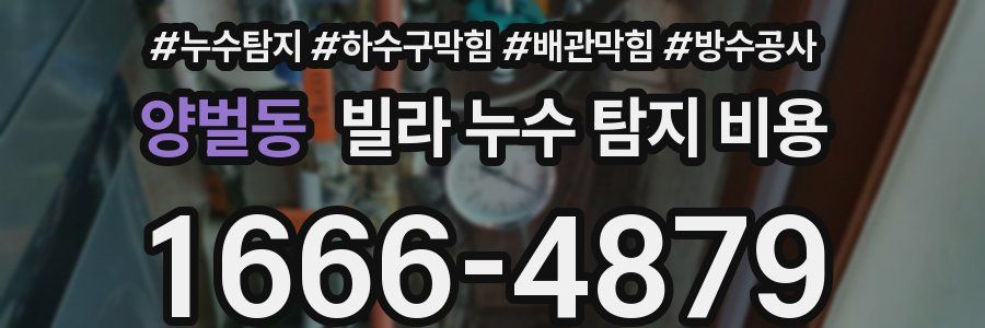 양벌동 빌라 누수 탐지 비용