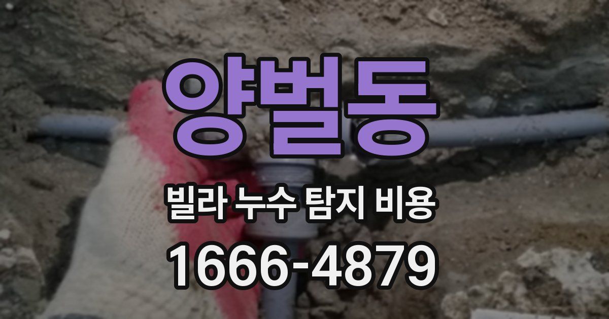 양벌동 빌라 누수 탐지 비용