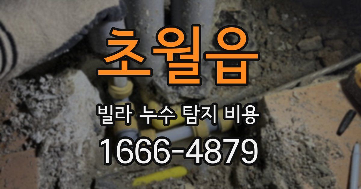 초월읍 빌라 누수 탐지 비용