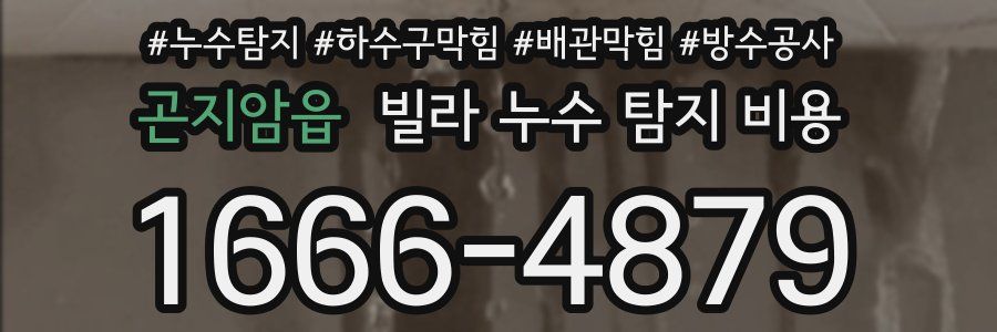 곤지암읍 빌라 누수 탐지 비용