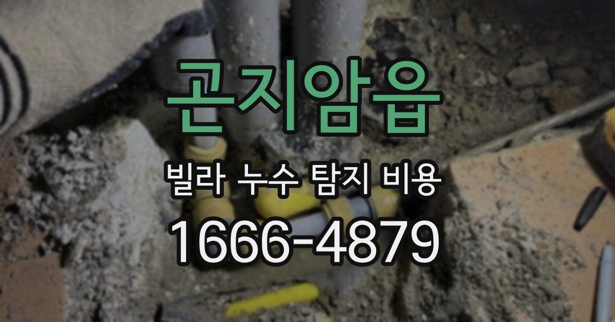 곤지암읍 빌라 누수 탐지 비용