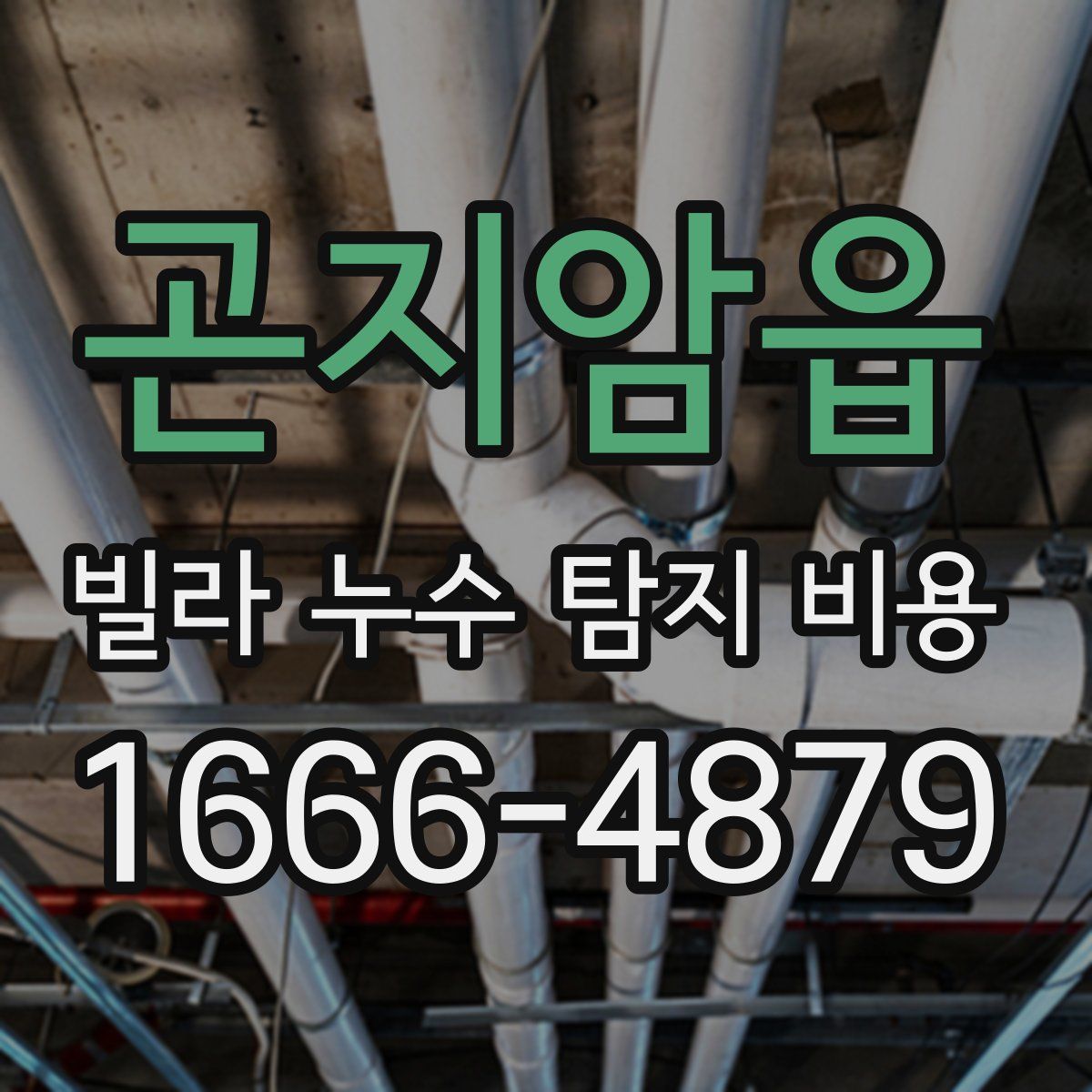 곤지암읍 빌라 누수 탐지 비용