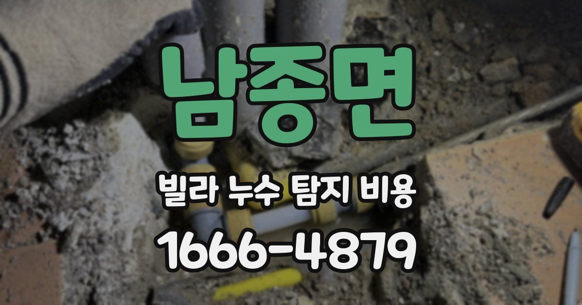 남종면 빌라 누수 탐지 비용