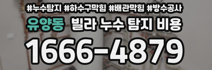 유양동 빌라 누수 탐지 비용