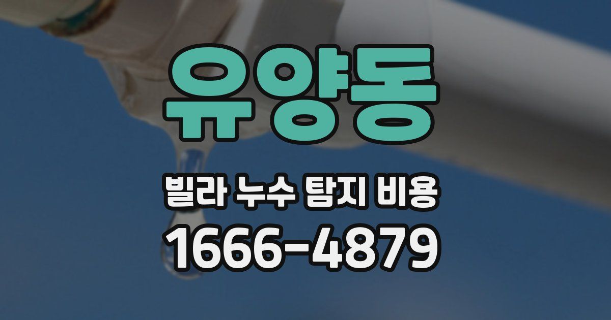 유양동 빌라 누수 탐지 비용