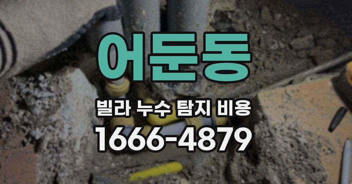 어둔동 빌라 누수 탐지 비용