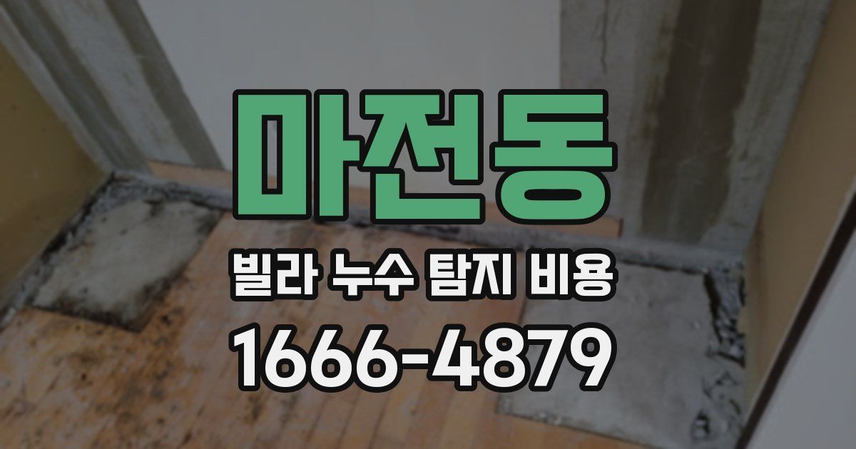마전동 빌라 누수 탐지 비용