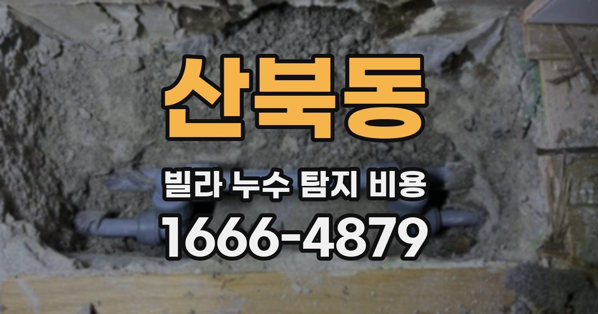 산북동 빌라 누수 탐지 비용