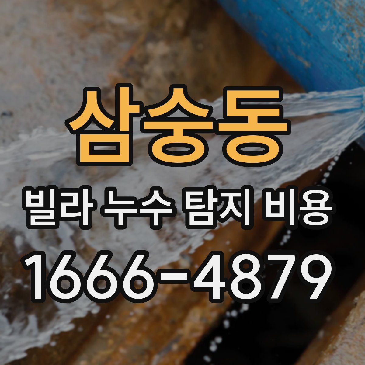 삼숭동 빌라 누수 탐지 비용