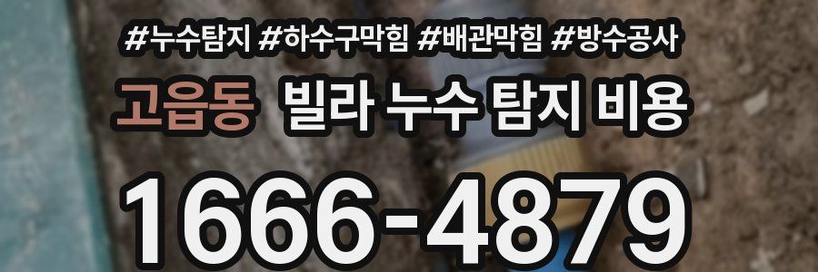 고읍동 빌라 누수 탐지 비용