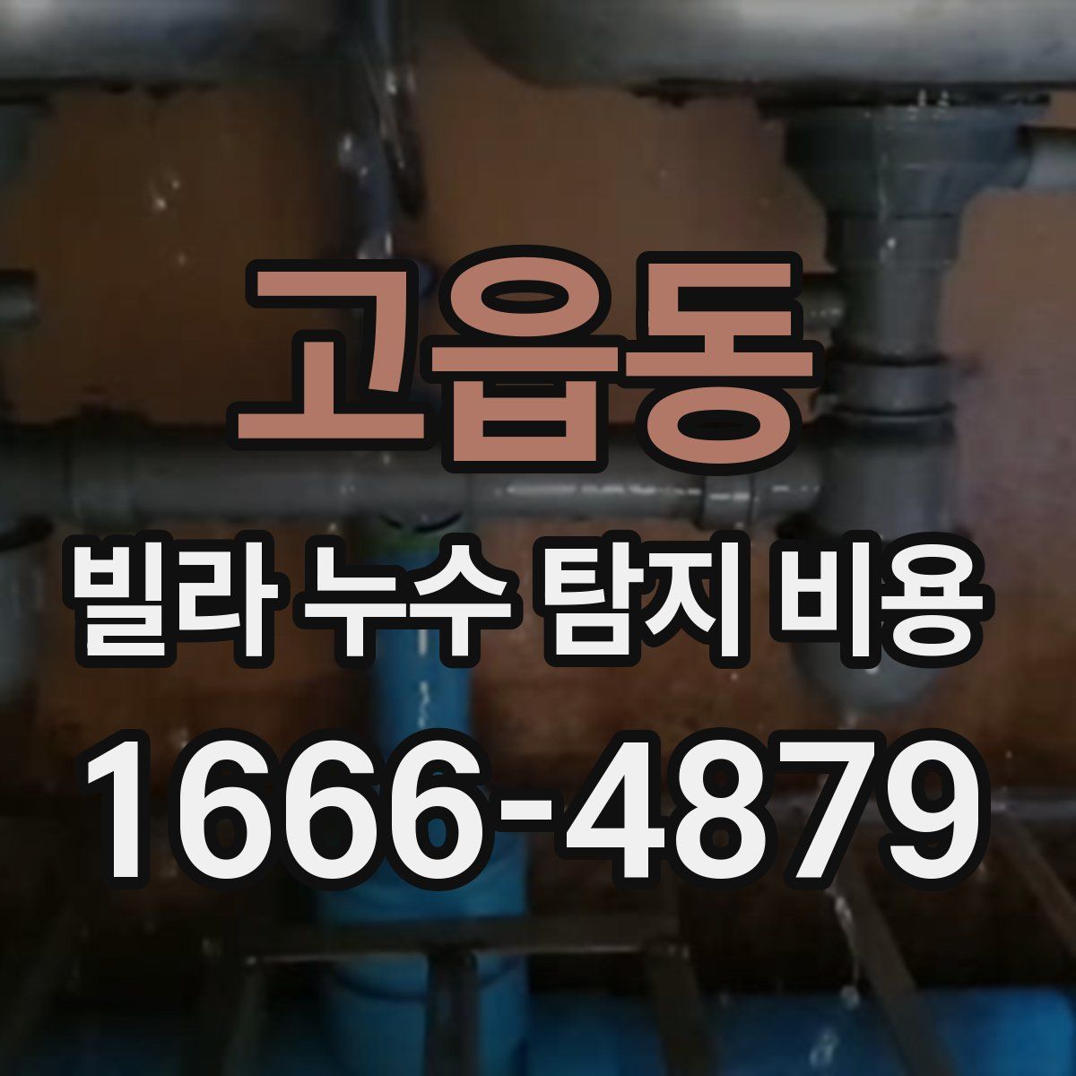 고읍동 빌라 누수 탐지 비용