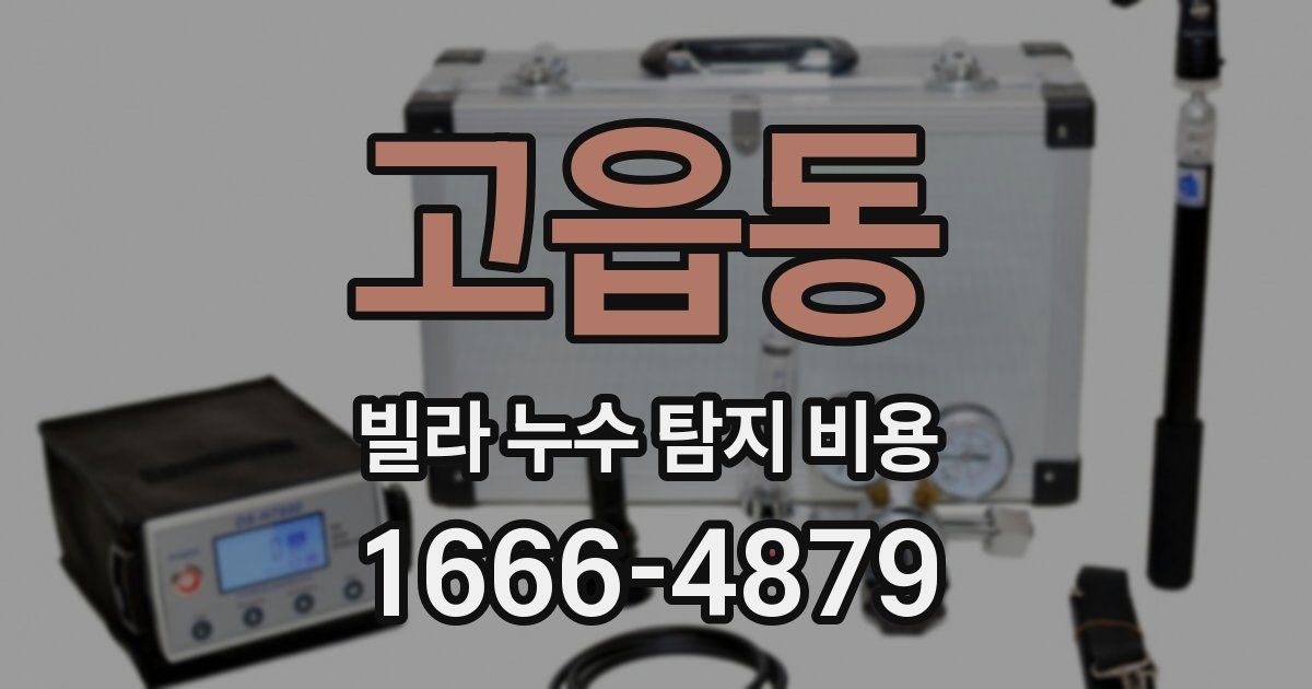 고읍동 빌라 누수 탐지 비용