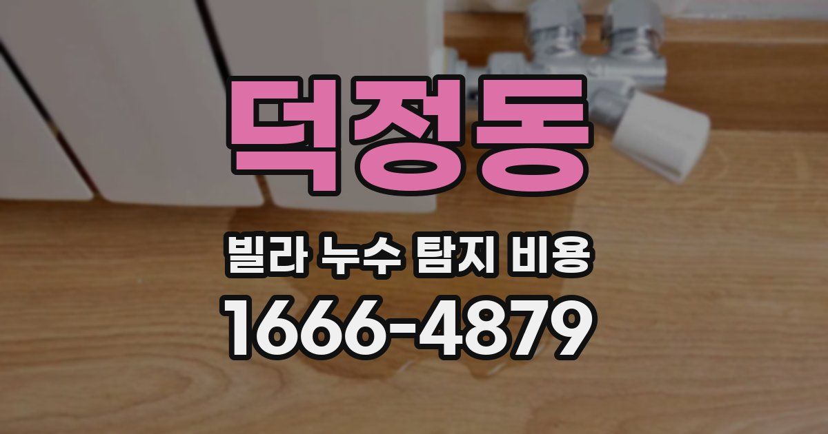 덕정동 빌라 누수 탐지 비용