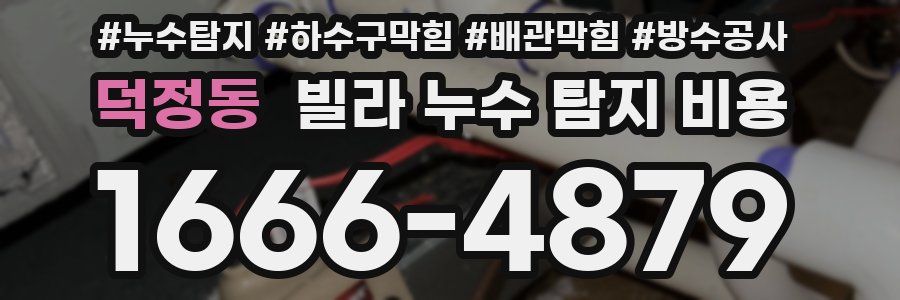 덕정동 빌라 누수 탐지 비용