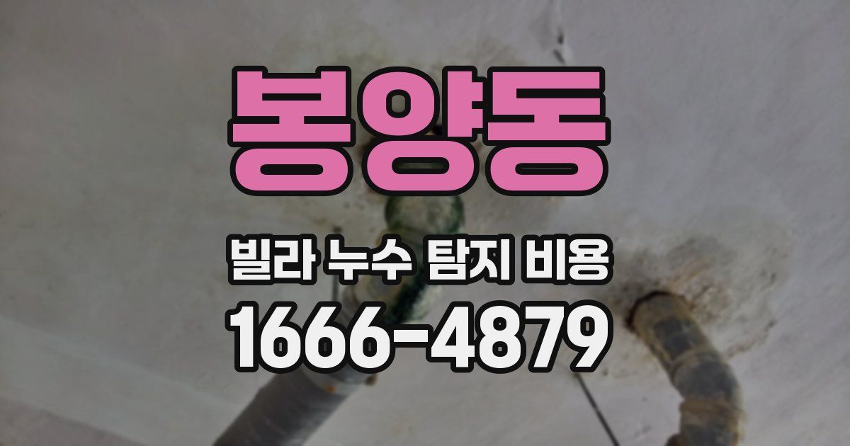 봉양동 빌라 누수 탐지 비용