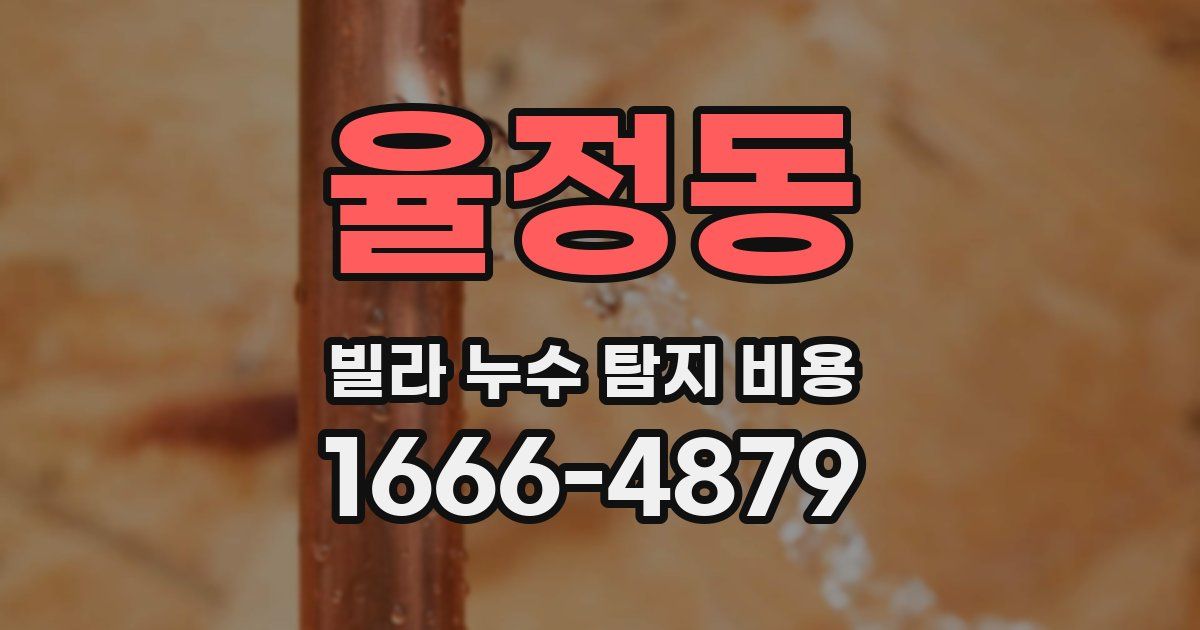 율정동 빌라 누수 탐지 비용