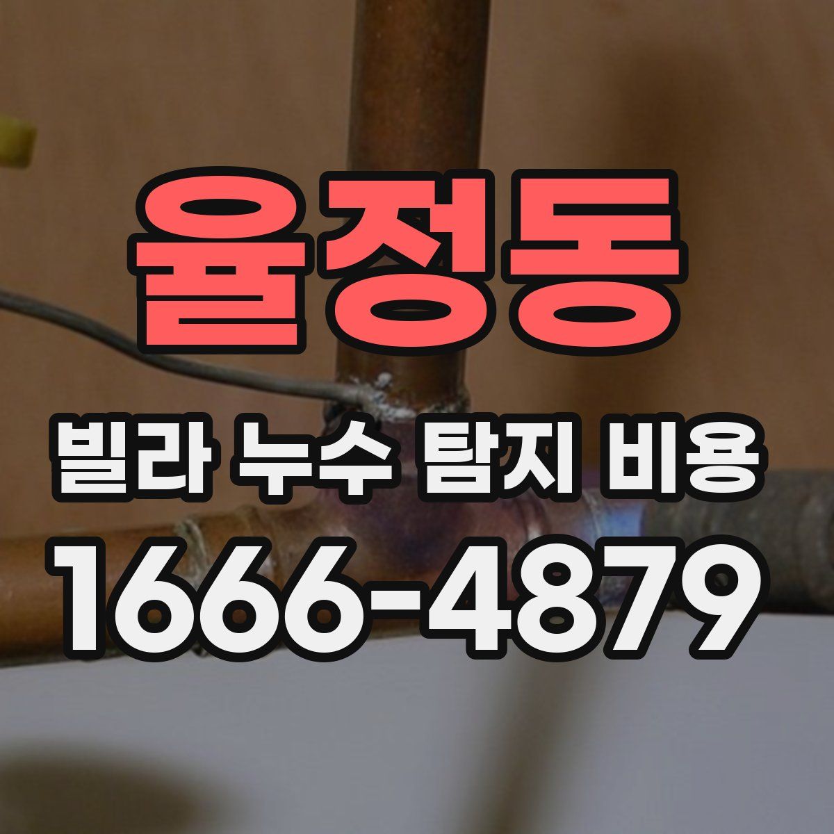 율정동 빌라 누수 탐지 비용