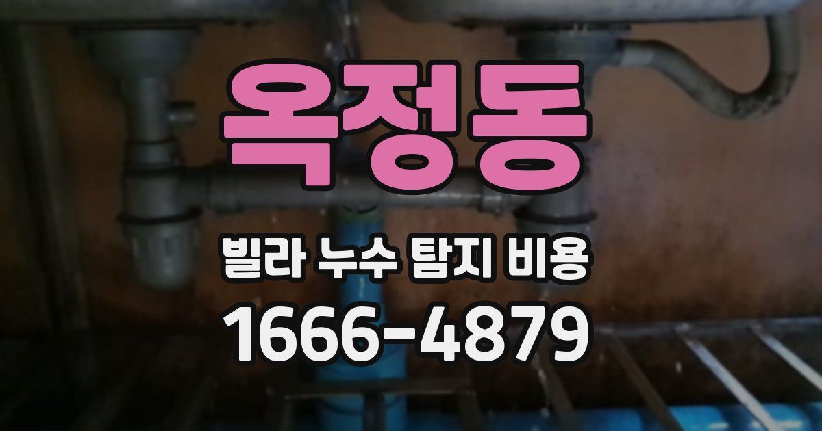 옥정동 빌라 누수 탐지 비용
