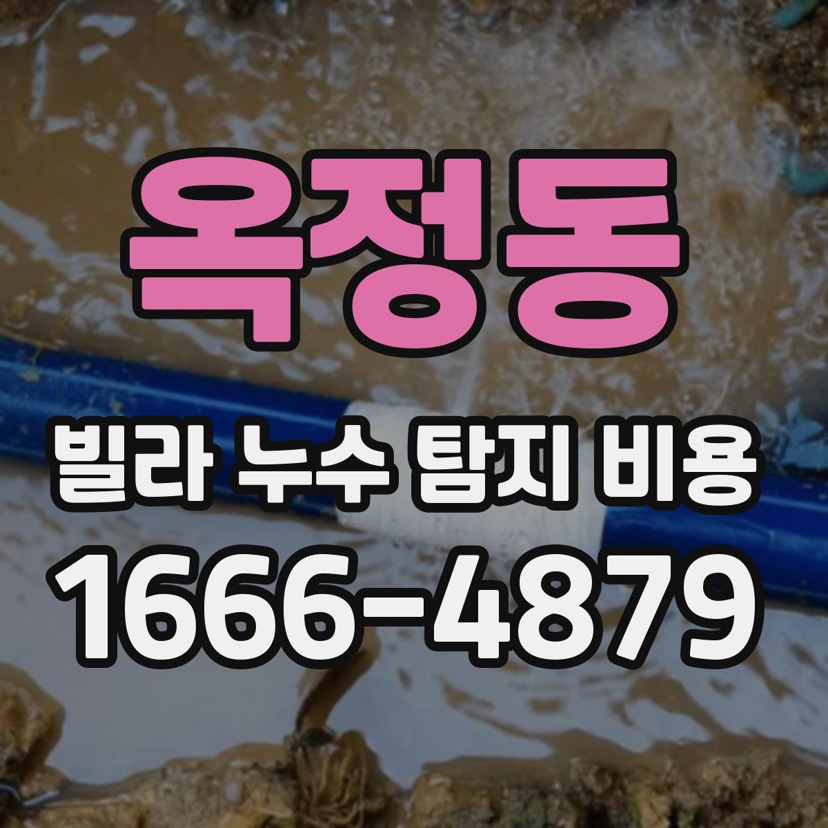 옥정동 빌라 누수 탐지 비용