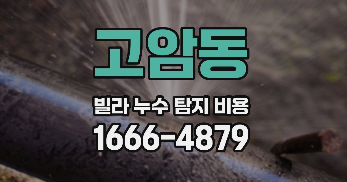 고암동 빌라 누수 탐지 비용