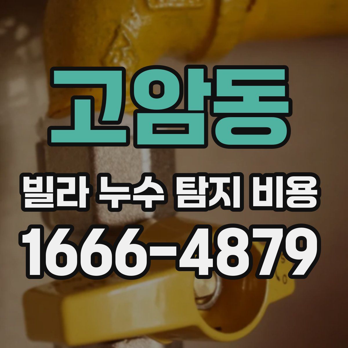 고암동 빌라 누수 탐지 비용