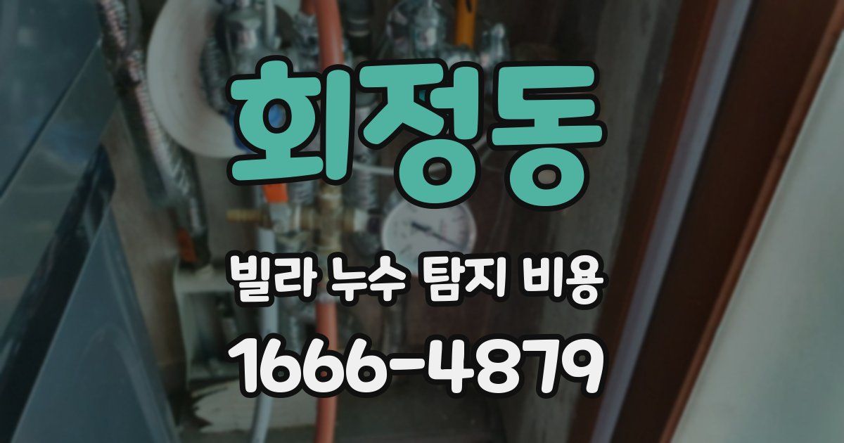 회정동 빌라 누수 탐지 비용