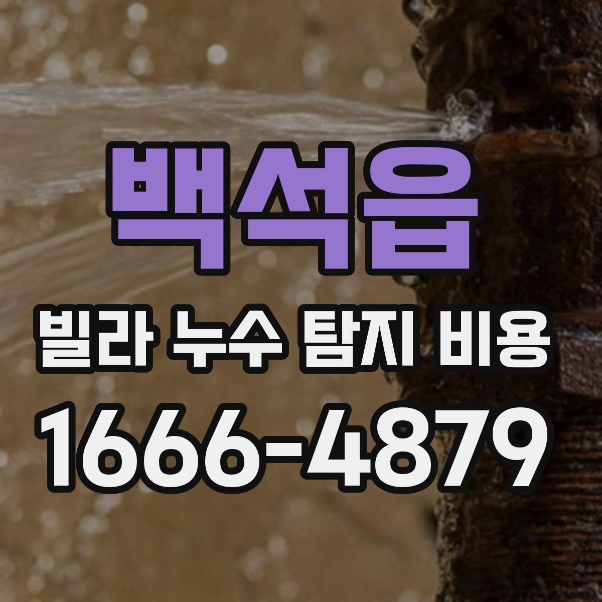 백석읍 빌라 누수 탐지 비용