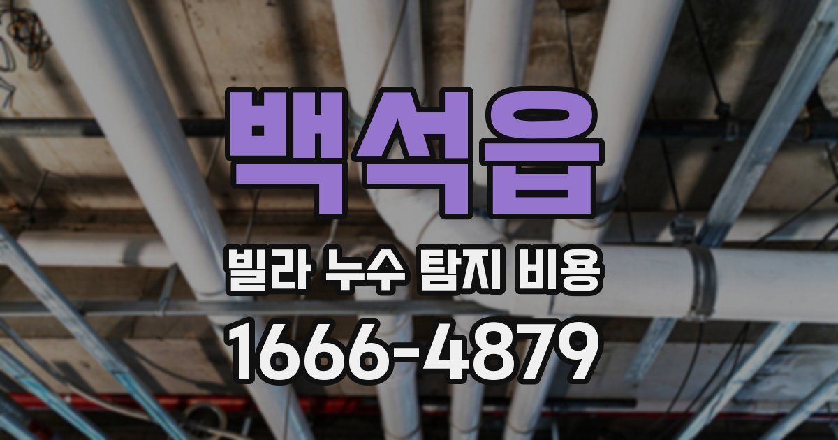 백석읍 빌라 누수 탐지 비용
