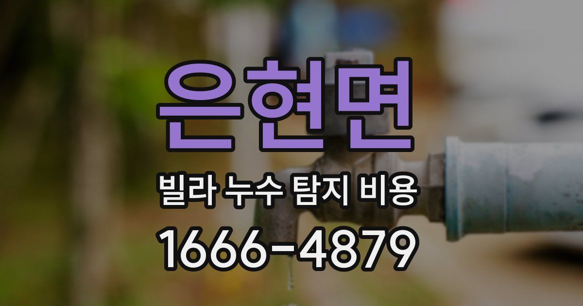 은현면 빌라 누수 탐지 비용