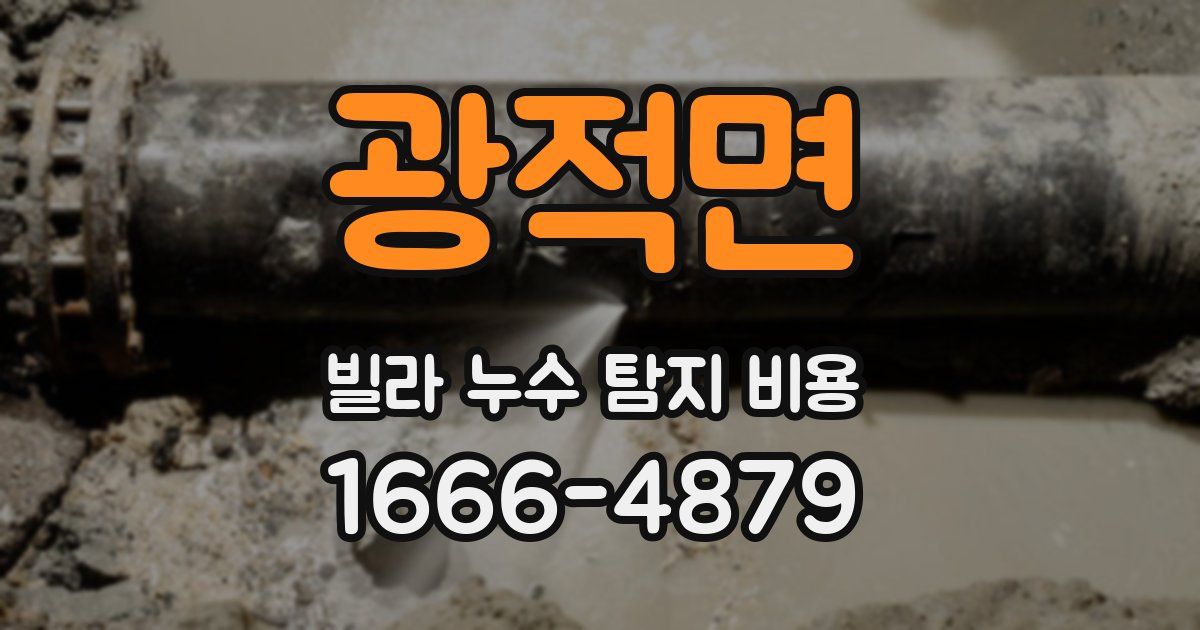 광적면 빌라 누수 탐지 비용