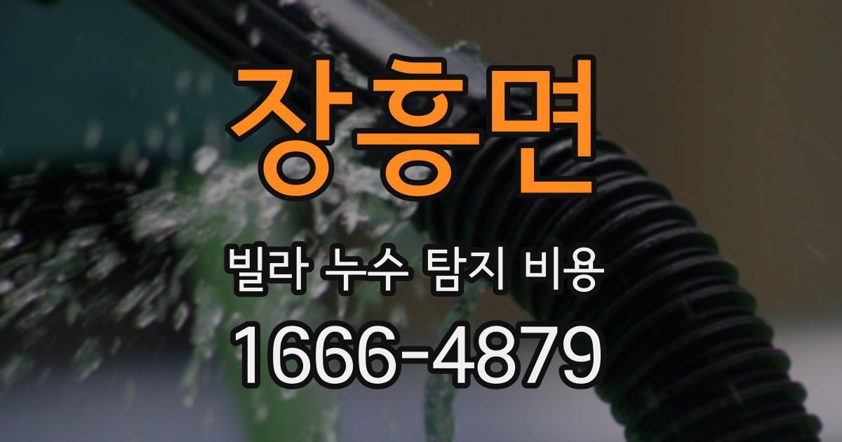 장흥면 빌라 누수 탐지 비용