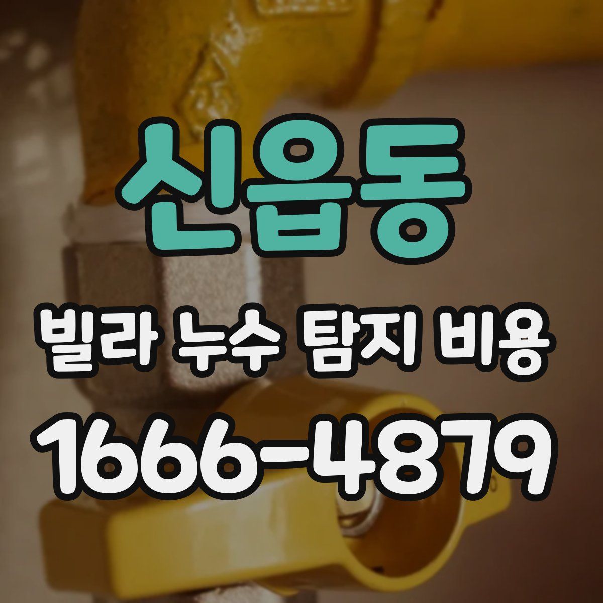 신읍동 빌라 누수 탐지 비용