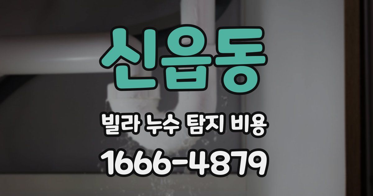 신읍동 빌라 누수 탐지 비용