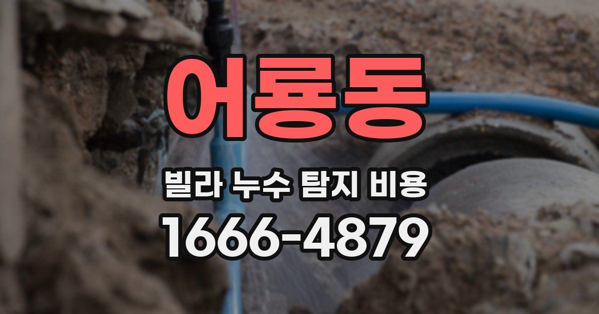 어룡동 빌라 누수 탐지 비용