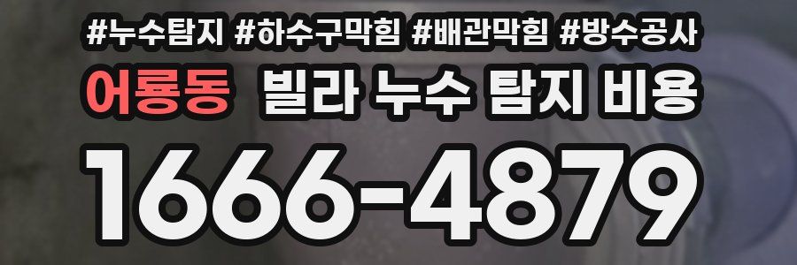 어룡동 빌라 누수 탐지 비용
