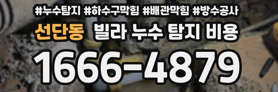 선단동 빌라 누수 탐지 비용