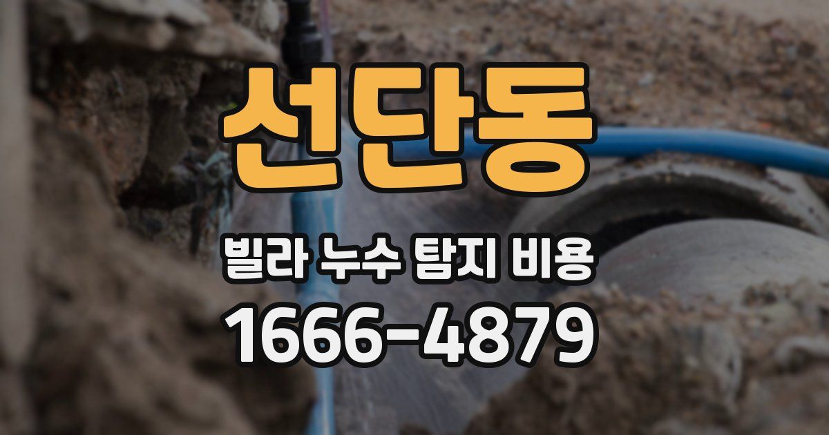 선단동 빌라 누수 탐지 비용