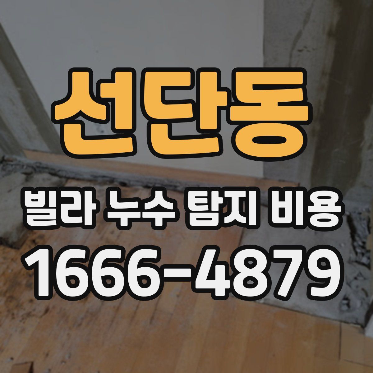 선단동 빌라 누수 탐지 비용