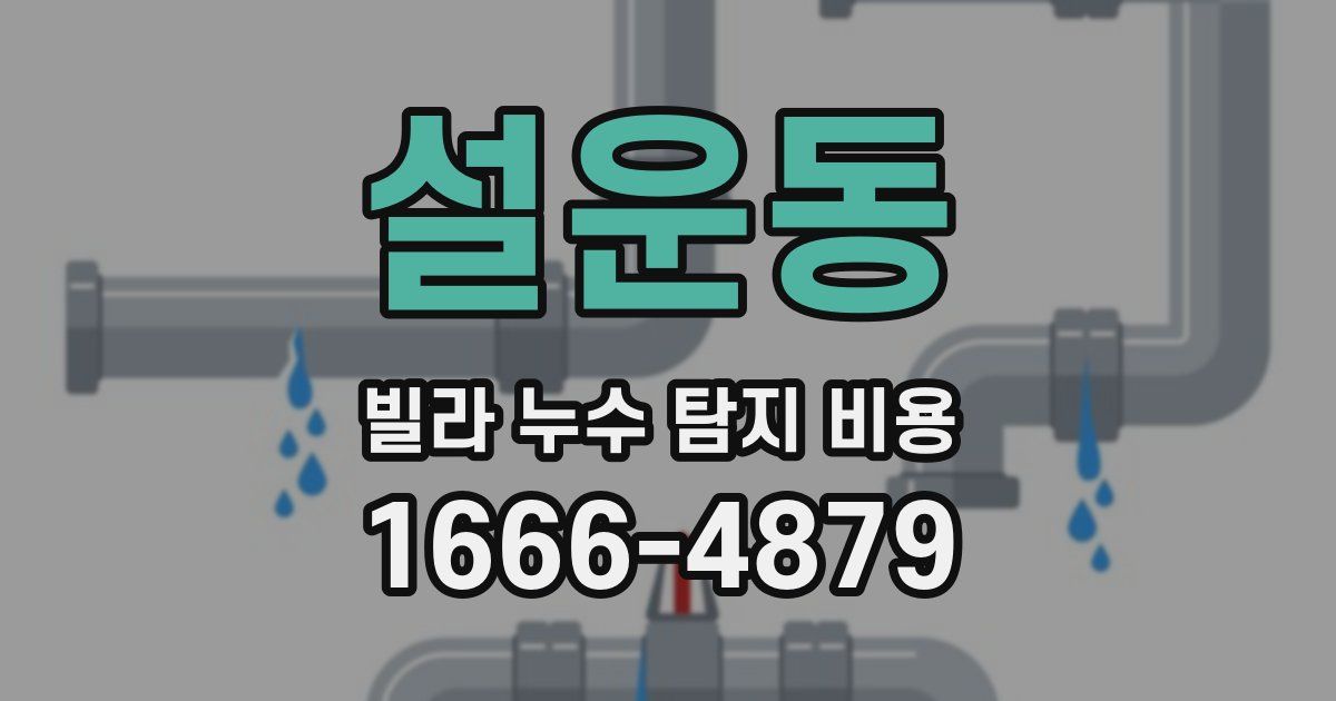 설운동 빌라 누수 탐지 비용