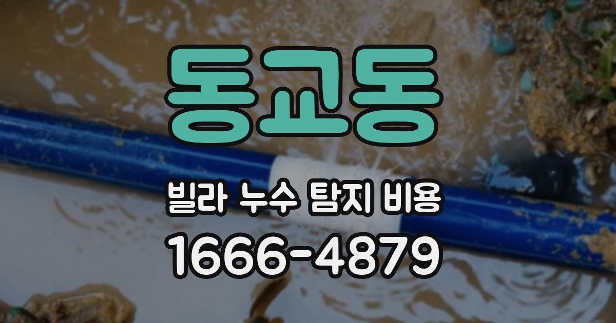 동교동 빌라 누수 탐지 비용