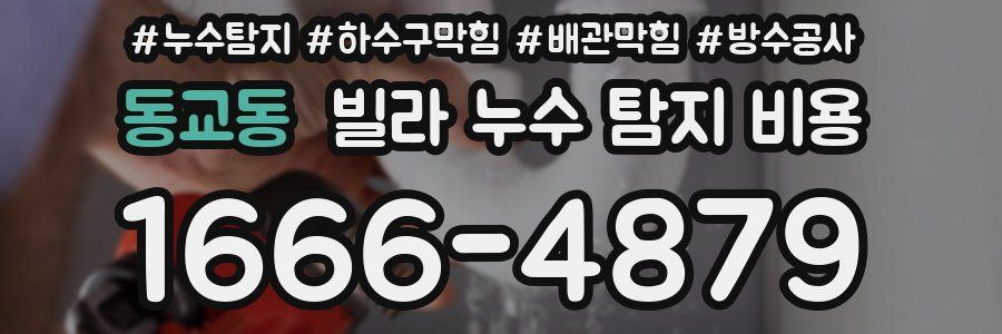 동교동 빌라 누수 탐지 비용