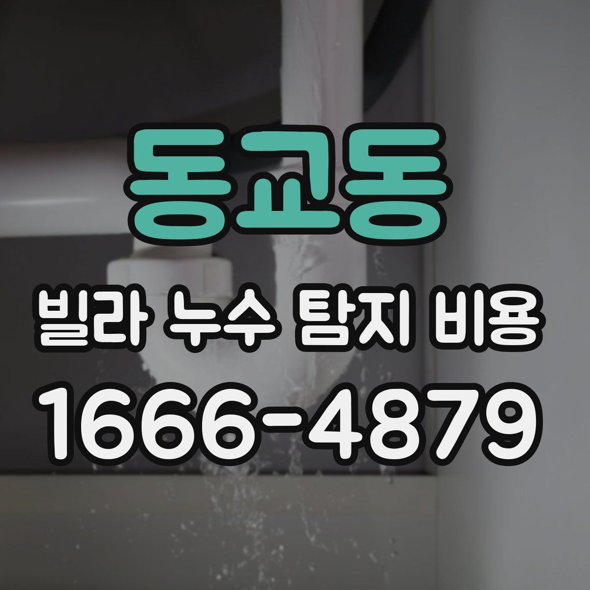 동교동 빌라 누수 탐지 비용
