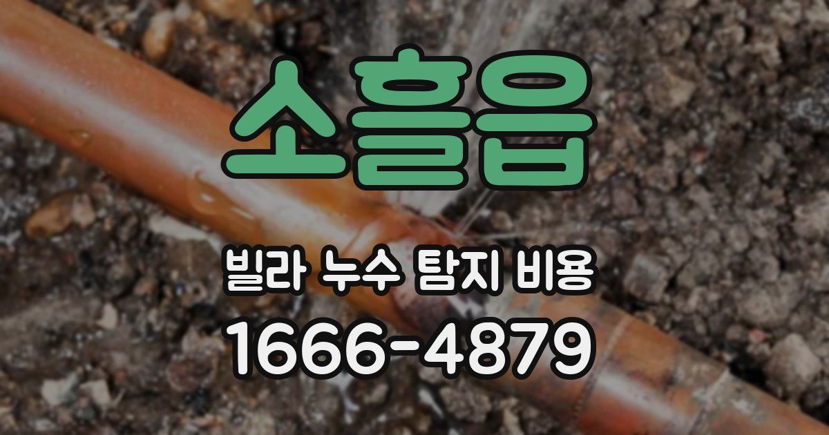 소흘읍 빌라 누수 탐지 비용