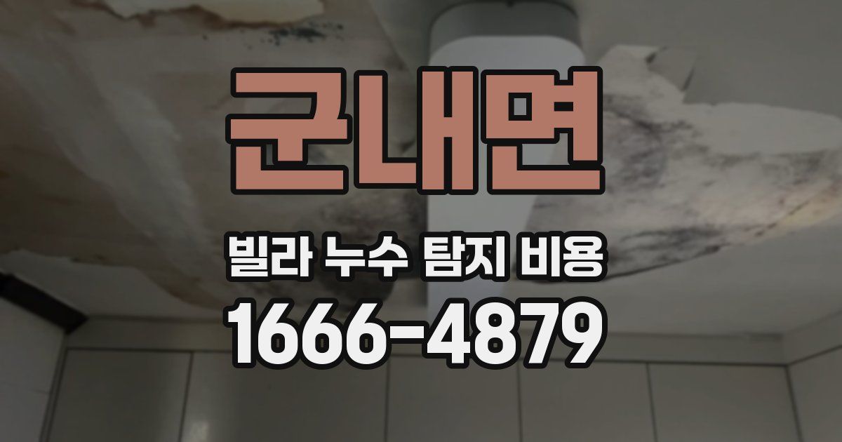 군내면 빌라 누수 탐지 비용