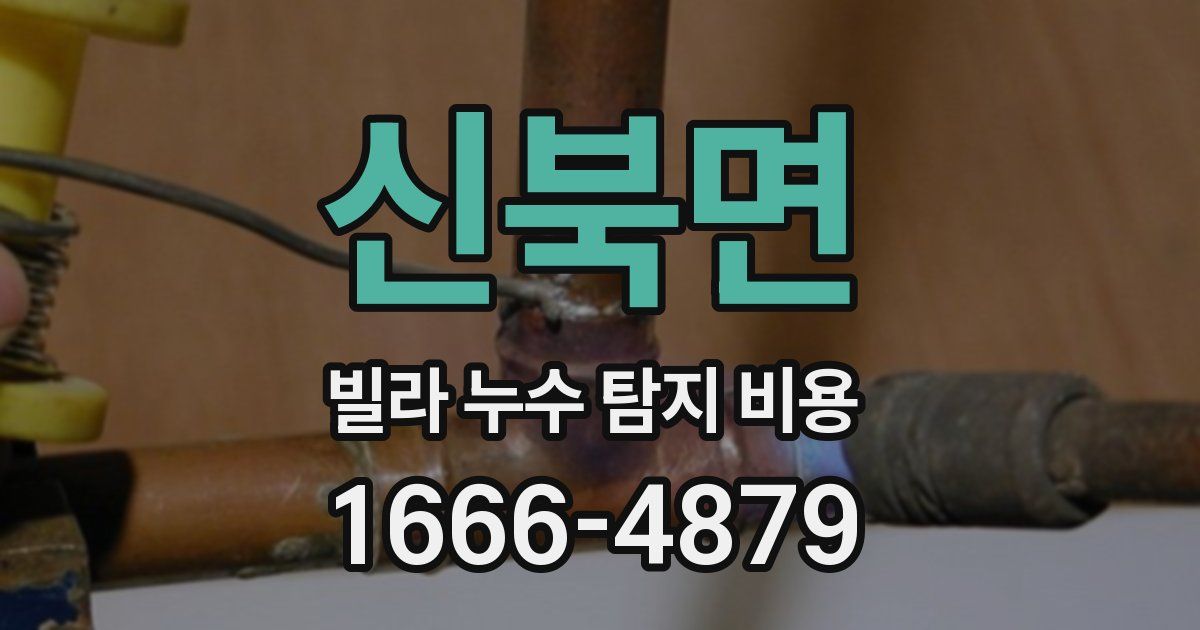 신북면 빌라 누수 탐지 비용