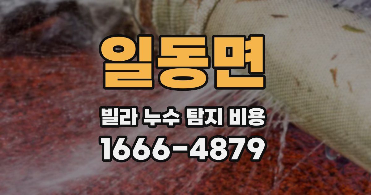 일동면 빌라 누수 탐지 비용