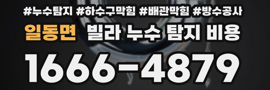 일동면 빌라 누수 탐지 비용
