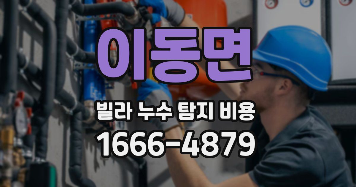 이동면 빌라 누수 탐지 비용