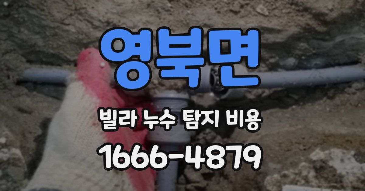 영북면 빌라 누수 탐지 비용