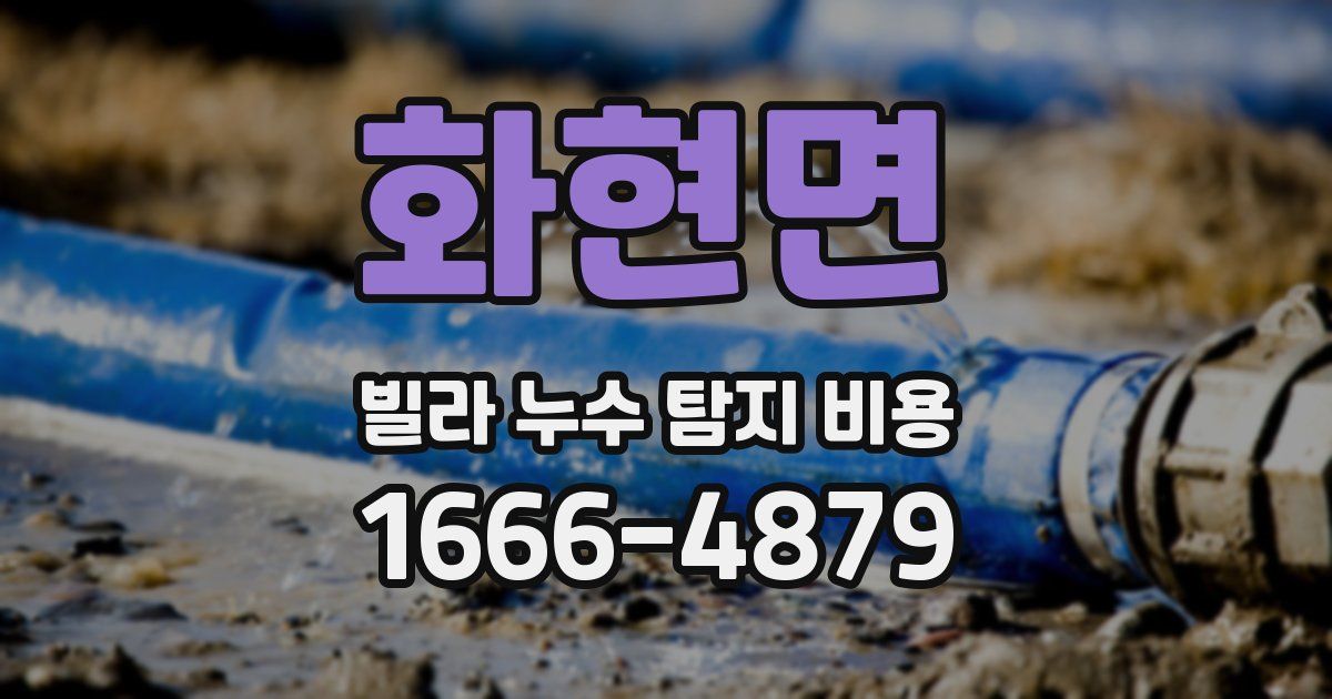 화현면 빌라 누수 탐지 비용